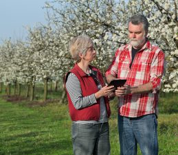 All Growers are Reminded to Keep Accurate and Up-to-Date Spray Records, SIR Program