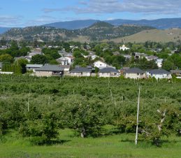 Good Urban-Rural Relations