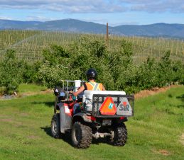 Special Devices Mounted on 4-Wheel ATVs Release the Moths